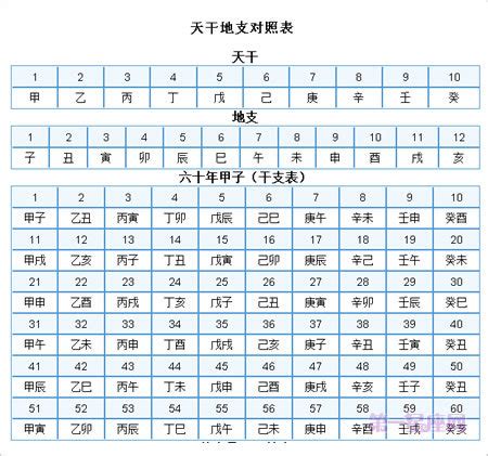 1996天干地支|干支纪年对照表，天干地支年份对照表